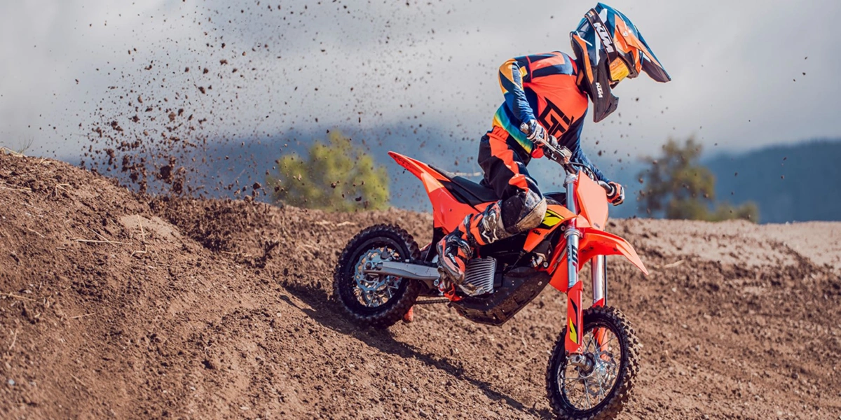 KTM Duke Electric Bike